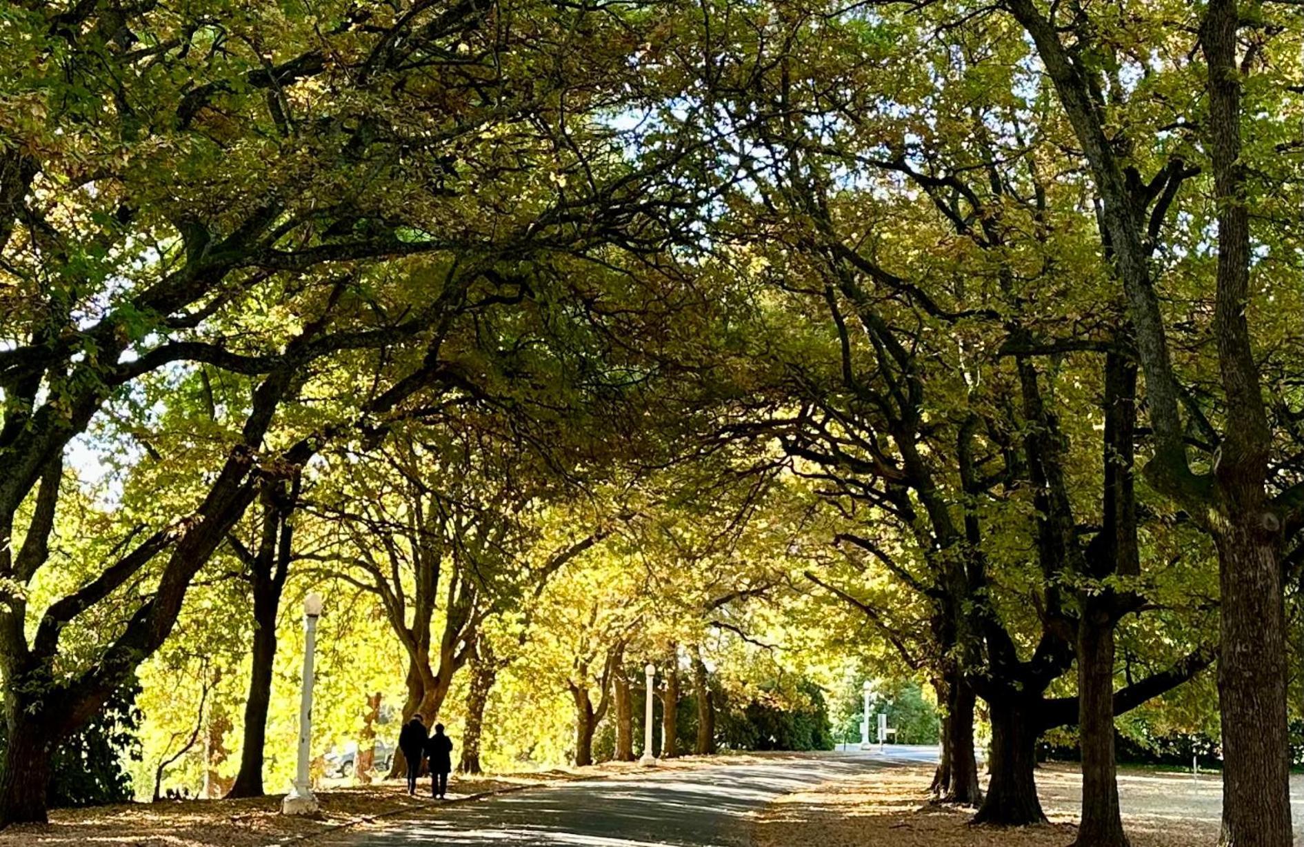 The Grand Oaks Resort Beechworth Dış mekan fotoğraf