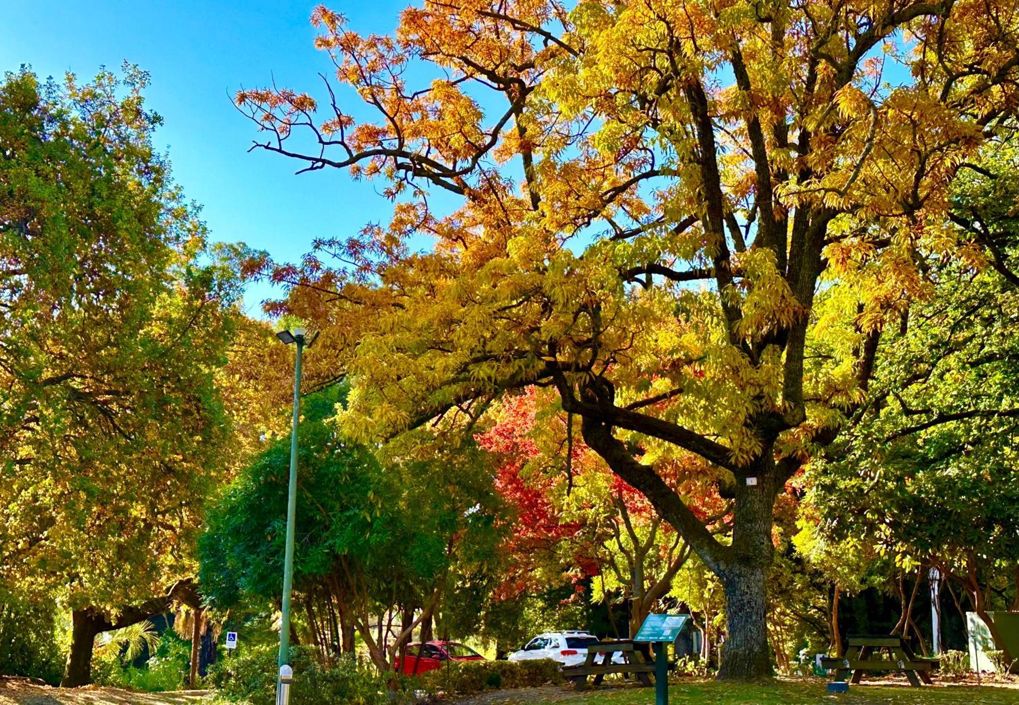 The Grand Oaks Resort Beechworth Dış mekan fotoğraf