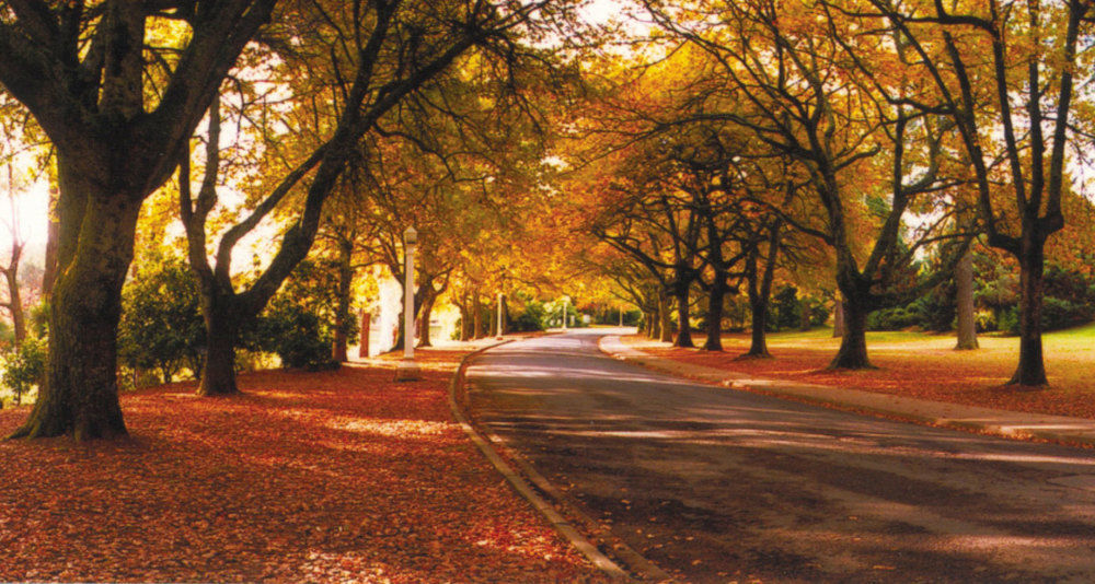 The Grand Oaks Resort Beechworth Dış mekan fotoğraf